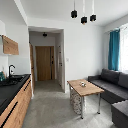 Apartment Wicia Leba