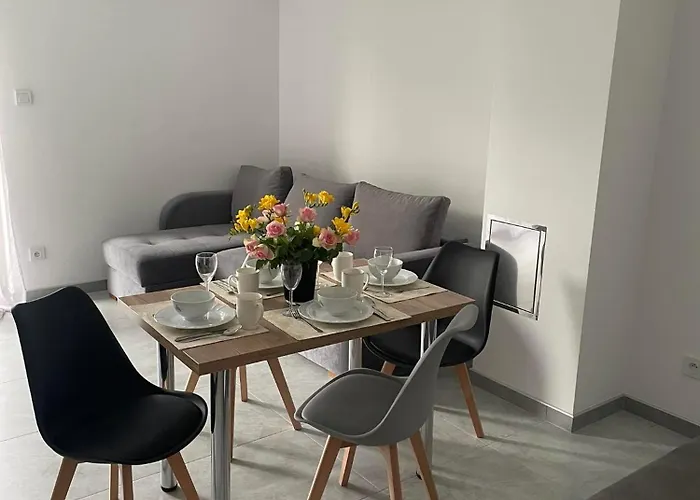 Apartament Wicia *