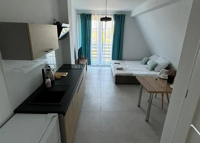 Apartament Wicia *