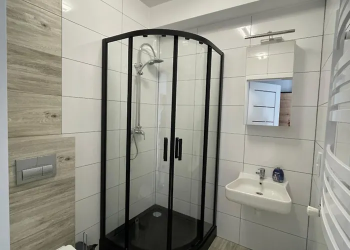 Wicia Apartament